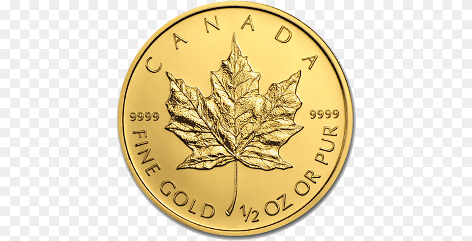 Canadian Gold Maple Leaf Maple Leaf Gold Coin, Plant, Money Free Transparent Png
