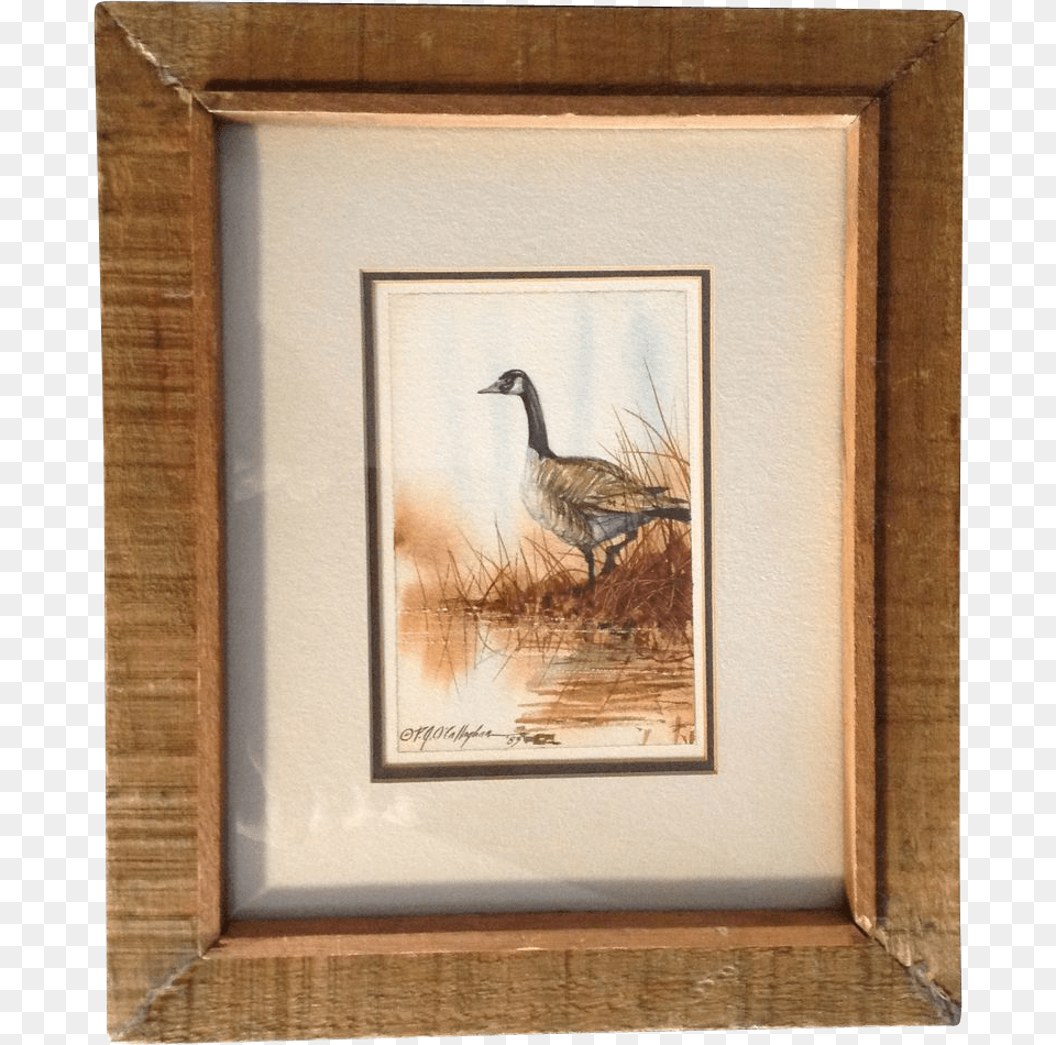 Canadian Goose Watercolor Painting 1983 Watercolor Painting, Animal, Bird, Photo Frame Free Transparent Png