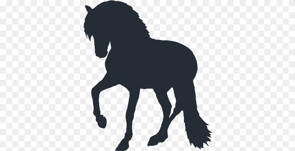 Canadian Hay Ranch Canadian Horse Logo, Animal, Mammal, Silhouette, Colt Horse Free Png