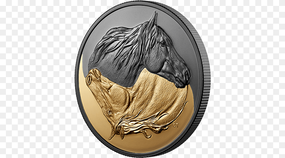 Canadian Horse Coin, Photography, Money, Animal, Mammal Png