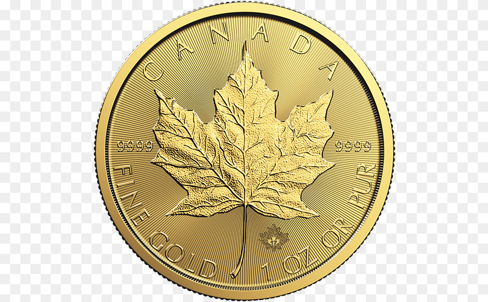 Canadian Maple Leaf 1 Oz Gold Austrian Philharmonic Gold Coin 1 2 Oz, Plant Png