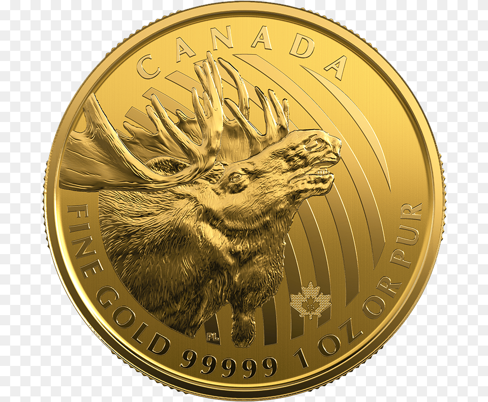 Canadian Maple Leaf, Gold, Coin, Money Free Png