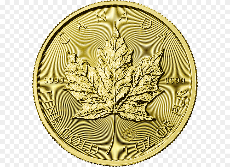Canadian Maple Leaf 2018 1 Oz Gold Coinsrc Https Canadian Gold Maple Leaf, Plant Png Image