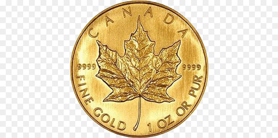 Canadian Maple Leaf Canadian Maple Leaf Gold Coin, Plant Free Png Download