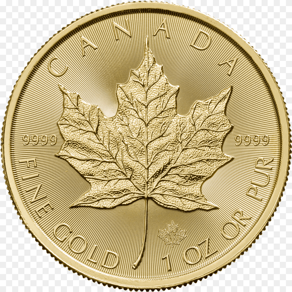 Canadian Maple Leaf Coins Canadian Gold Maple Leaf, Plant Png