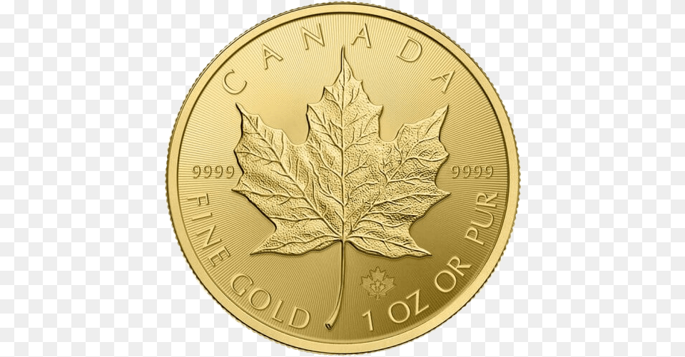 Canadian Maple Leaf Gold Coin Canadian Mint Gold Coins, Plant, Money Free Png Download