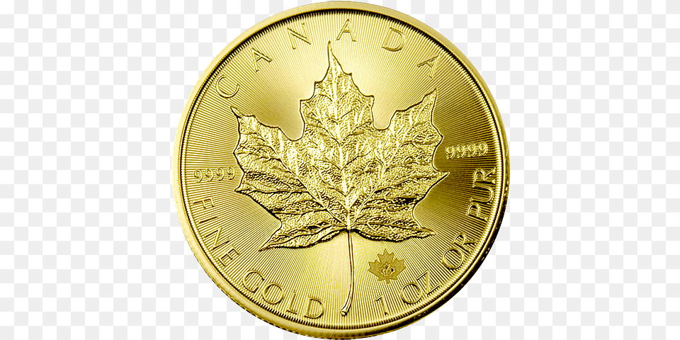Canadian Maple Leaf Gold Coins Spot Price Current 2015 Canadian Maple Gold Leaf Coin, Plant Free Png Download
