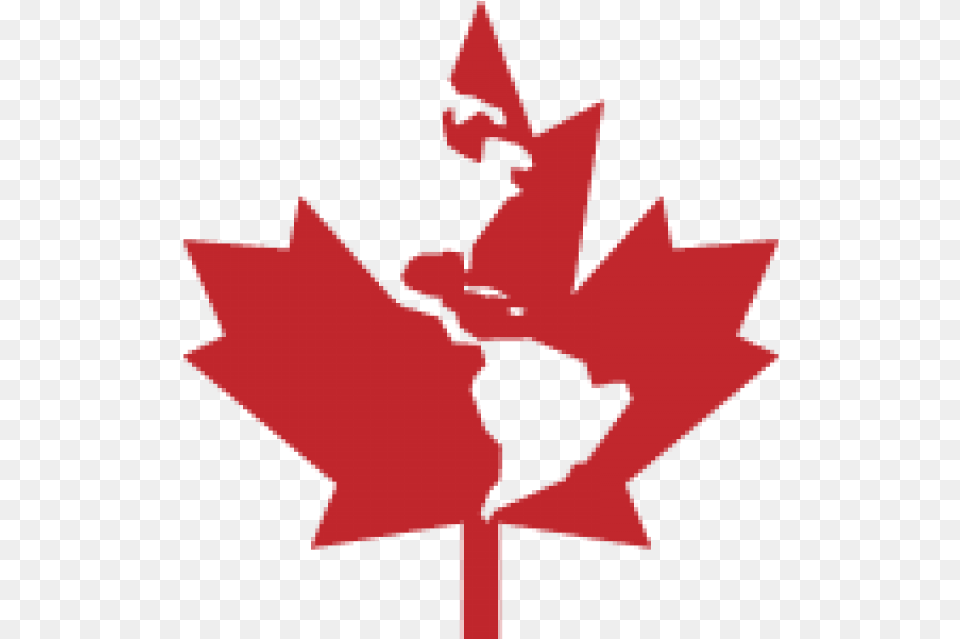 Canadian Maple Leaf Maple Leaf Canada, Plant, Person, Tree Free Png Download