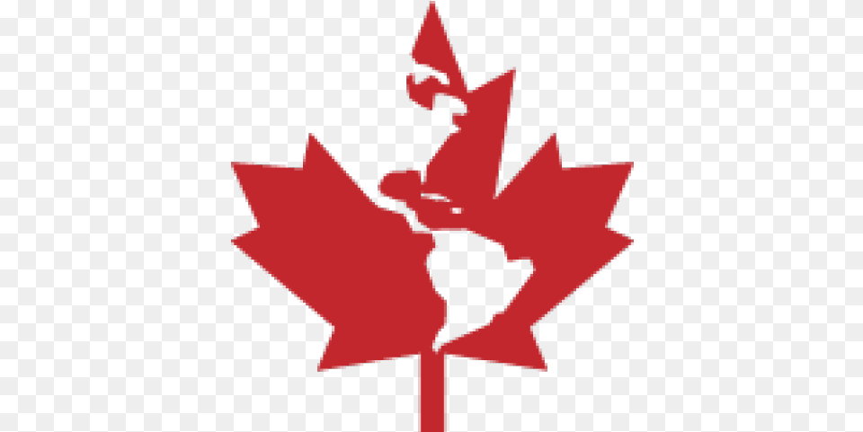 Canadian Maple Leaf No Background, Plant, Person Png