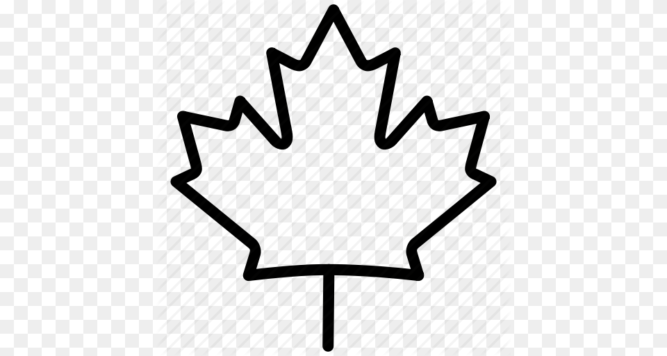 Canadian Maple Leaf Outline Clipart Canada Maple Leaf, Plant Free Png