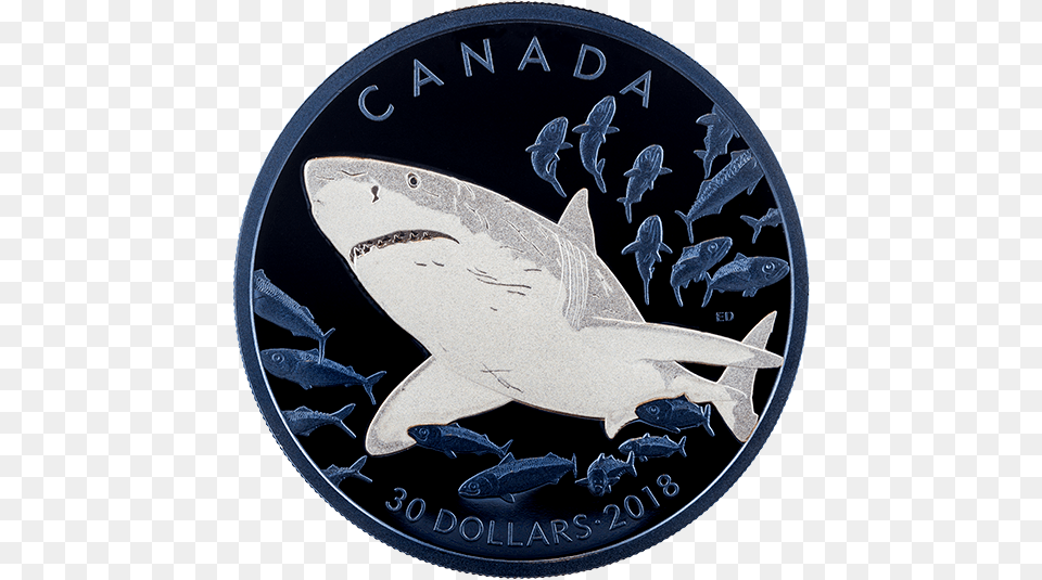 Canadian Mint Shark Coins, Animal, Sea Life, Fish, Coin Free Transparent Png