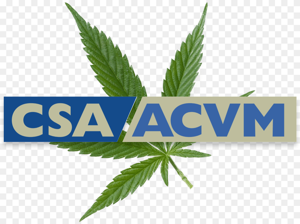 Canadian Securities Administrators, Leaf, Plant, Hemp, Weed Free Png