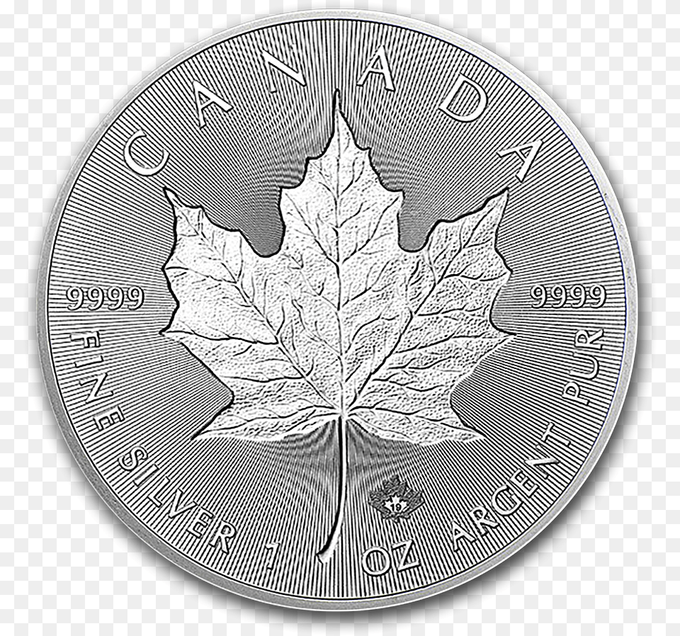 Canadian Silver Incuse Maple Maple Leaf Incuse 2019, Plant, Animal, Cat, Mammal Free Transparent Png