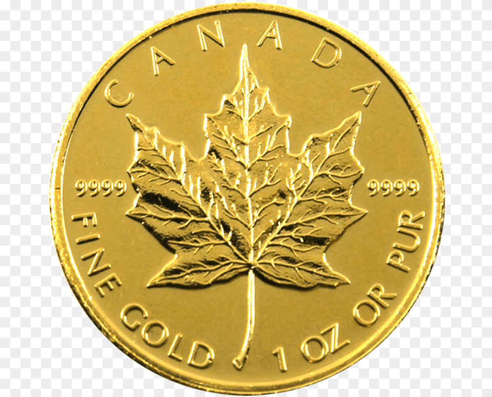 Canadian Silver Maple Leaf, Gold, Plant, Coin, Money Png