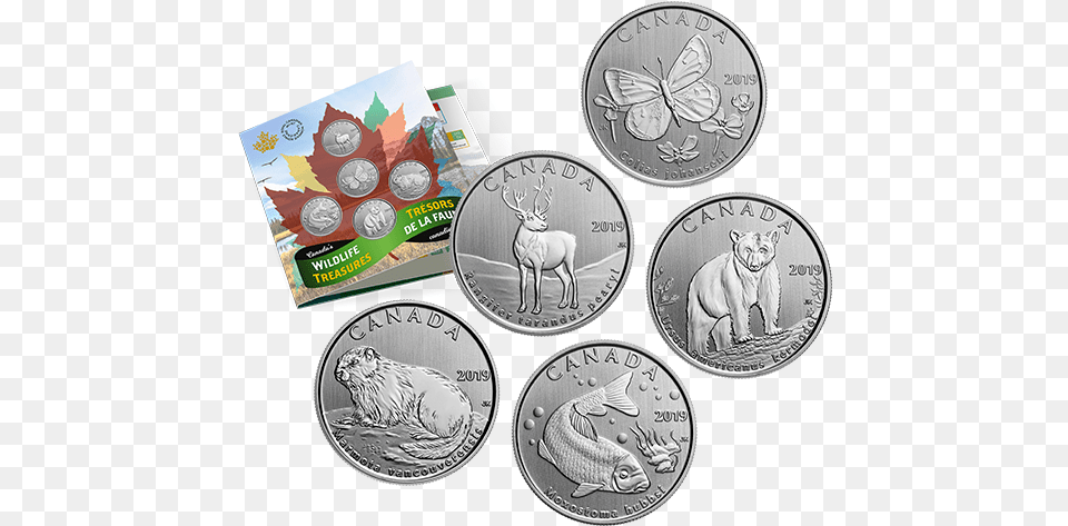 Canadian Wildlife Coin Series, Silver, Animal, Lion, Mammal Free Transparent Png