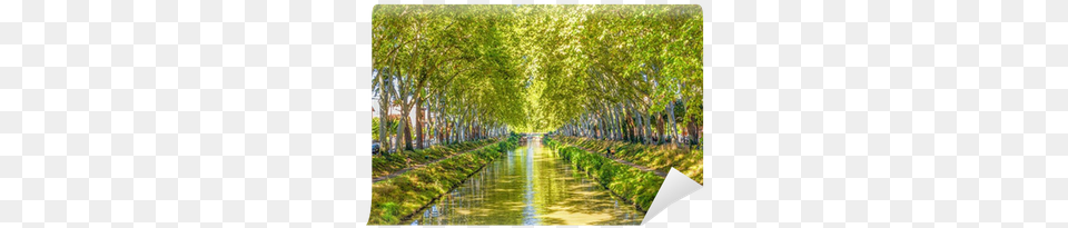 Canal Du Midi Schnster Abschnitt, Water, Vegetation, Tree, Scenery Free Png Download