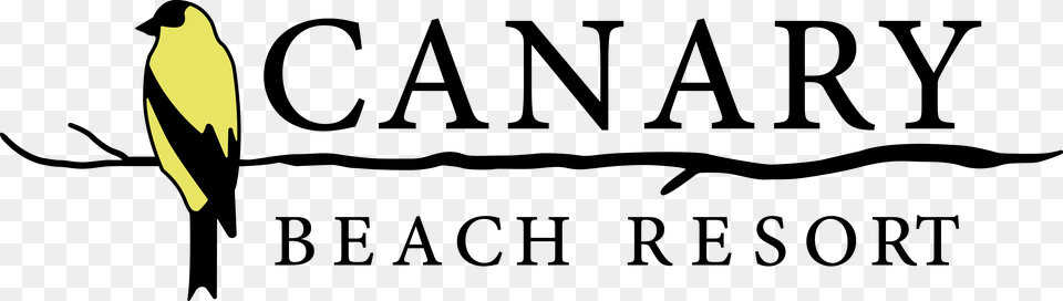 Canary Beach Resort Logo, Animal, Bird, Finch Free Png