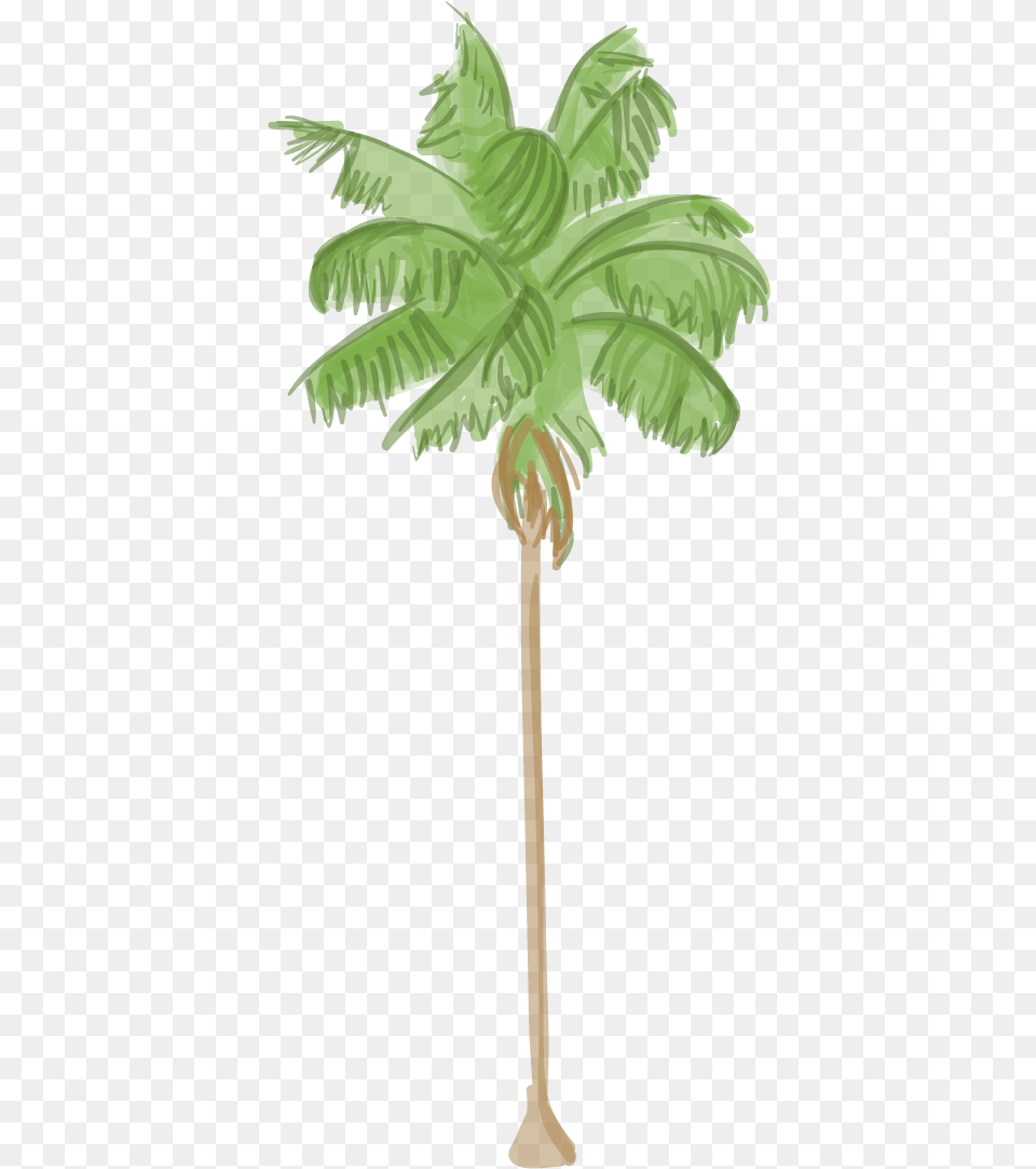 Canary Island Date Palm Los Angeles Palm Tree, Palm Tree, Plant, Leaf, Vegetation Free Png Download