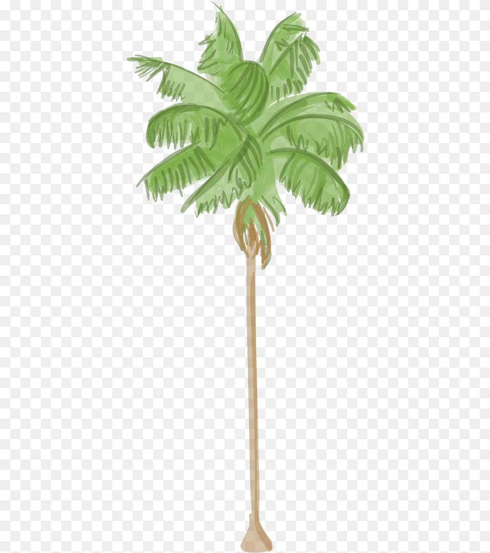 Canary Island Date Palm Los Angeles Palm Tree Symbol, Palm Tree, Plant, Leaf, Vegetation Free Png