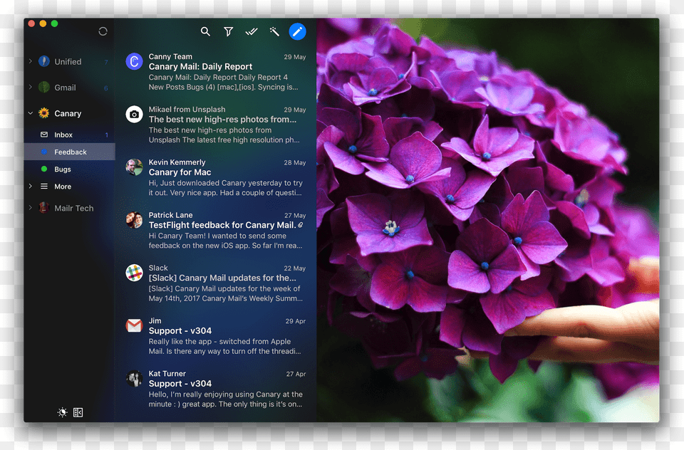 Canary Mail Setapp Hydrangea, Flower, Geranium, Petal, Plant Png Image