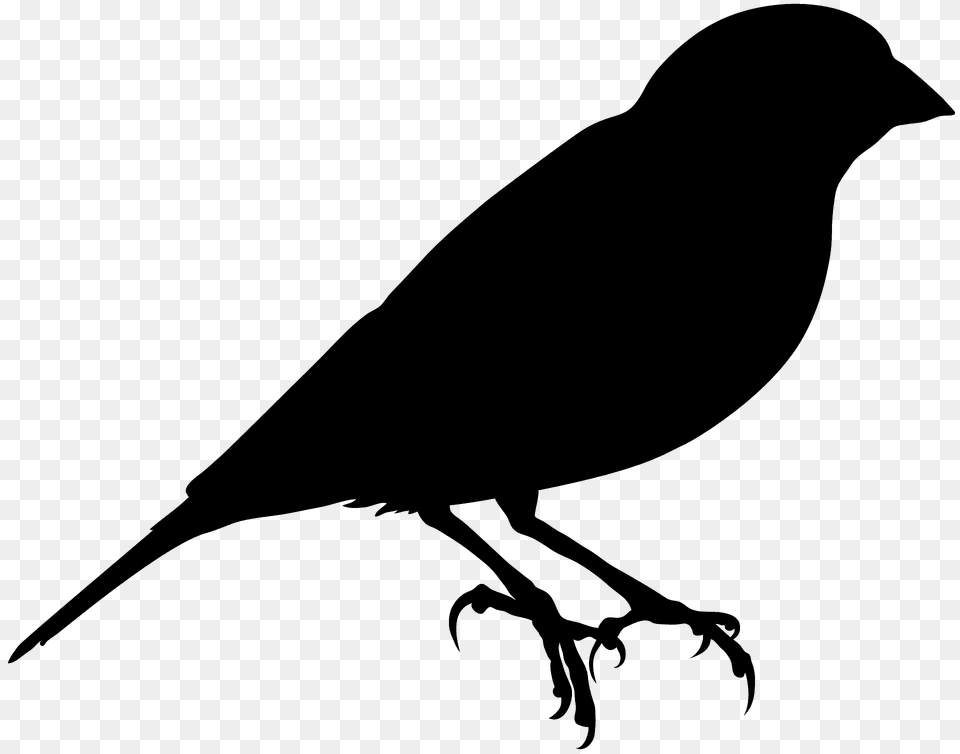 Canary Silhouette, Animal, Bird, Blackbird Png Image
