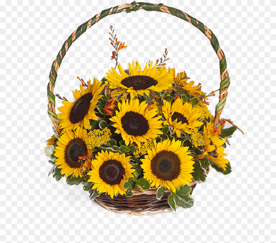 Canasta De Girasoles Download Canasta De Girasoles Y Rosas, Flower, Flower Arrangement, Flower Bouquet, Plant Free Png