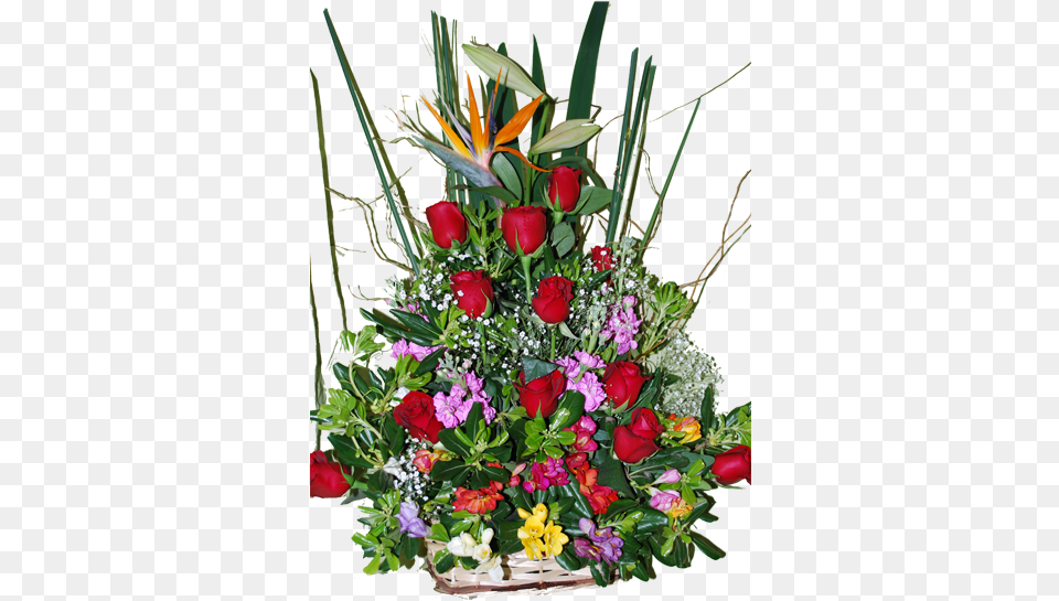 Canasta De Rosas Bouquet, Flower, Flower Arrangement, Flower Bouquet, Plant Png