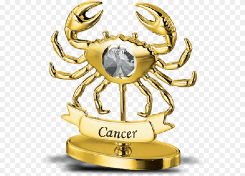 Cancer, Animal, Invertebrate, Spider Free Transparent Png