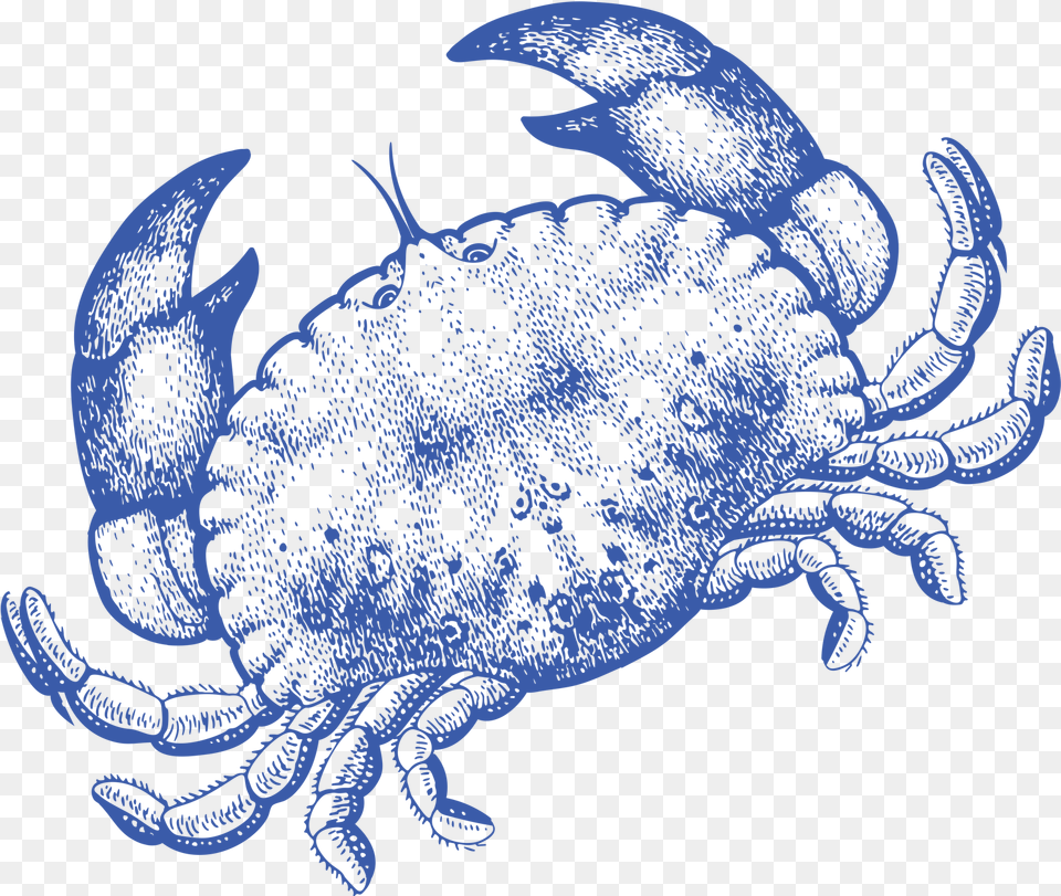 Cancer, Food, Seafood, Animal, Sea Life Free Transparent Png