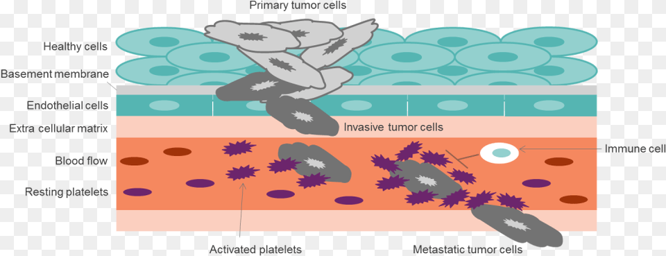 Cancer Cell Illustration, Book, Comics, Publication Png