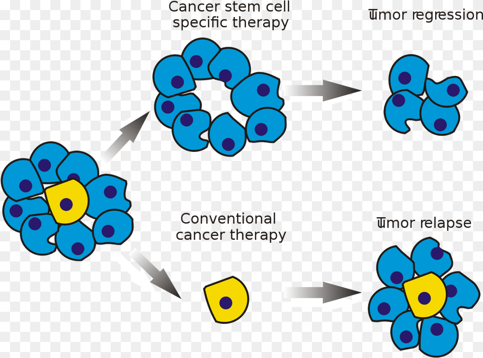Cancer Cells After Chemotherapy, Accessories Png