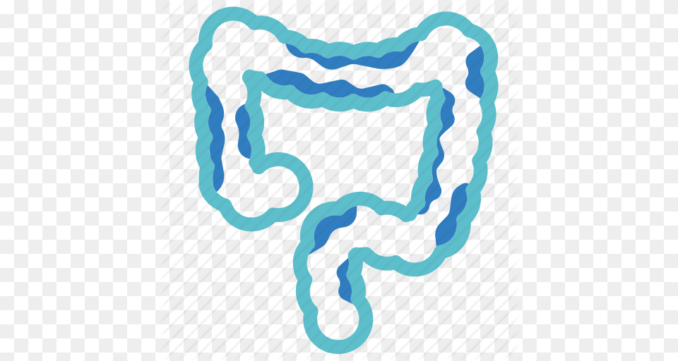 Cancer Colon Disease Enteritis Intestine Large Intestine, Accessories, Bag, Handbag Png