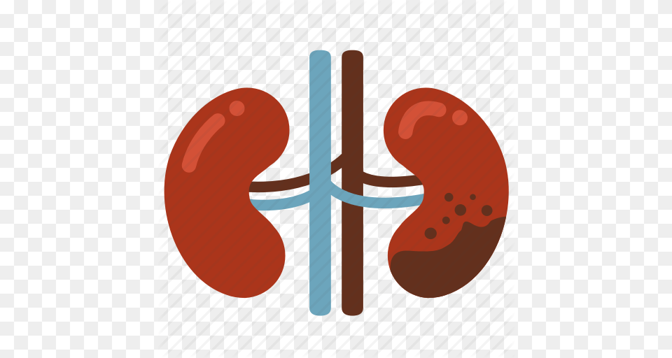 Cancer Disease Ill Infection Kidney Kidney Failure Icon, Body Part, Stomach Png Image