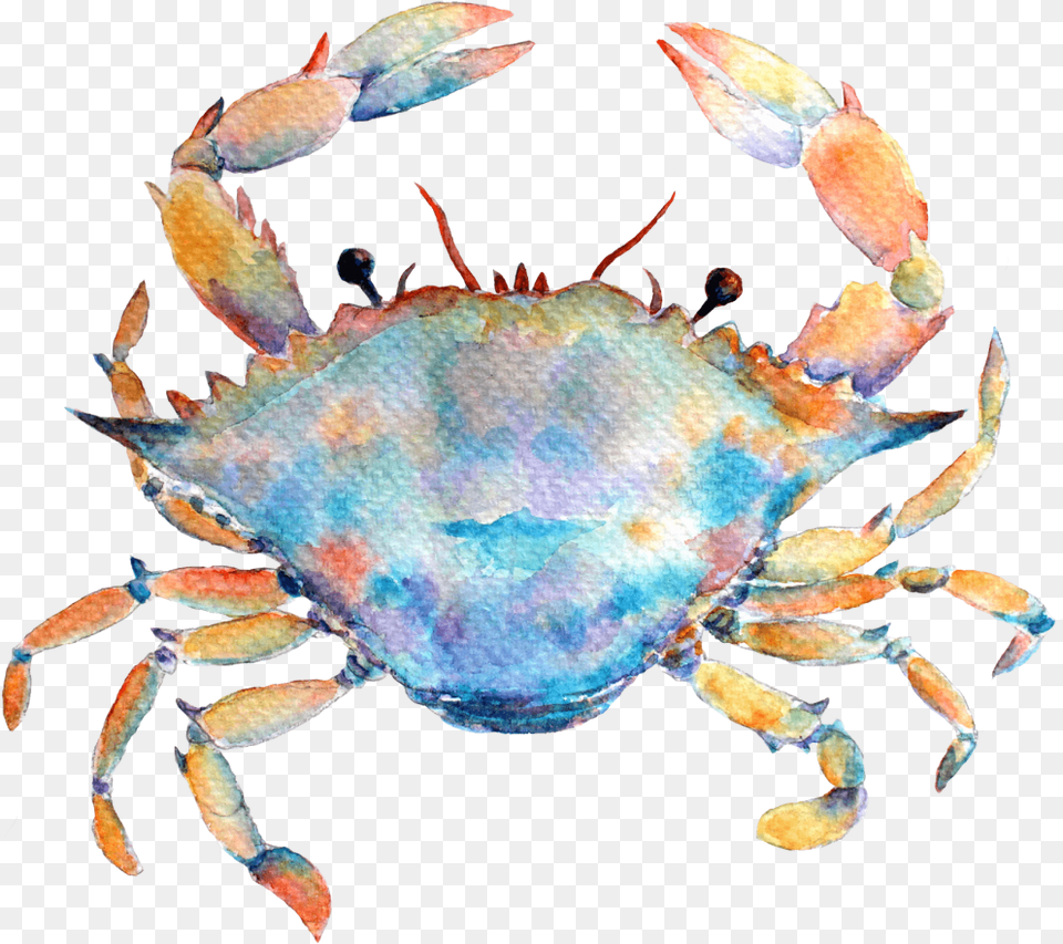 Cancer Is Known As One Of The Cardinal Signs Meaning Watercolor Zodiac Tattoos, Animal, Crab, Food, Invertebrate Free Transparent Png
