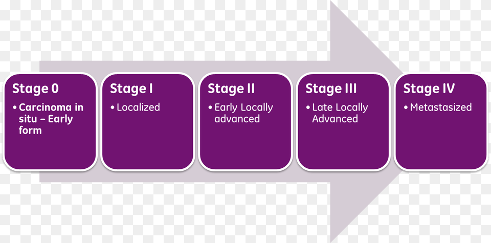 Cancer Stages Many Stages Of Cancer, Text, Purple Free Png