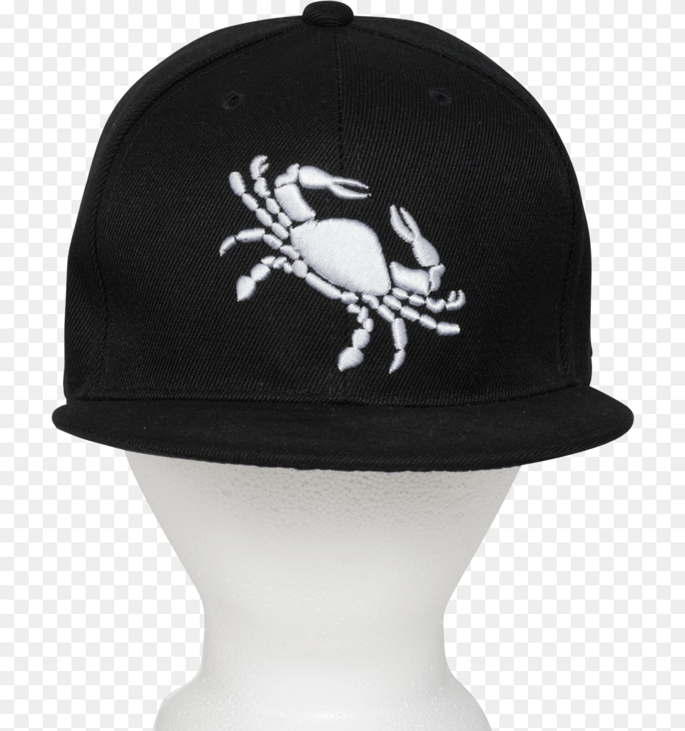 Cancer Weevil, Baseball Cap, Cap, Clothing, Hat Png