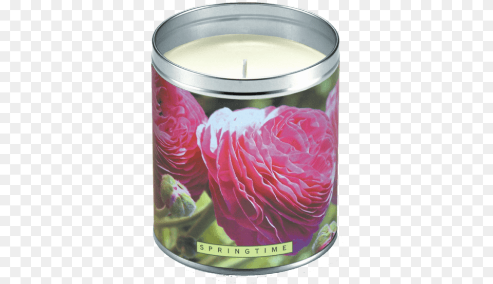Candle, Flower, Petal, Plant, Rose Free Transparent Png