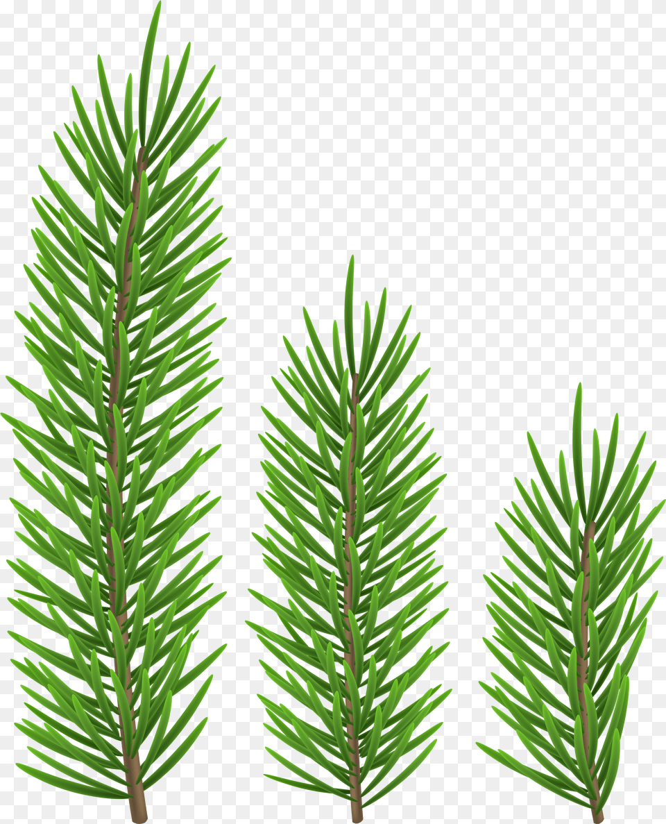 Candle Free Png Download