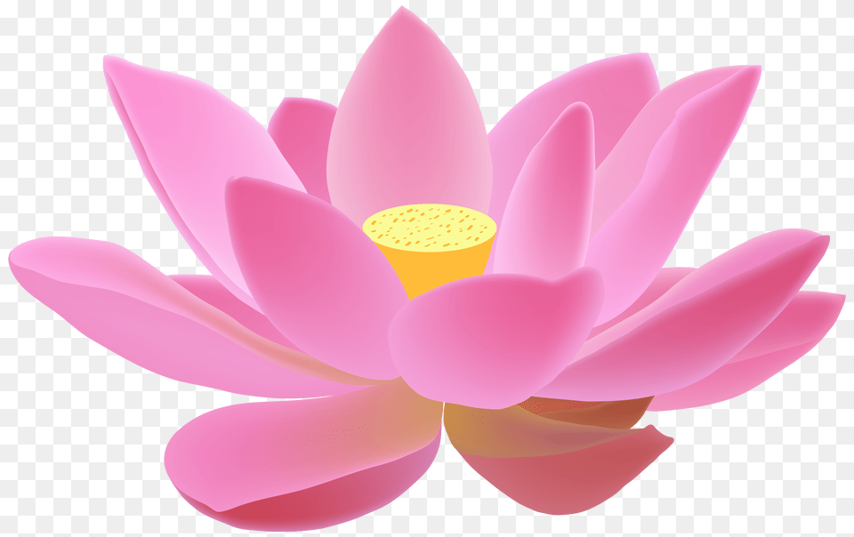 Candle In Lotus Clip Art Lotus Images, Flower, Plant, Petal, Dahlia Png Image