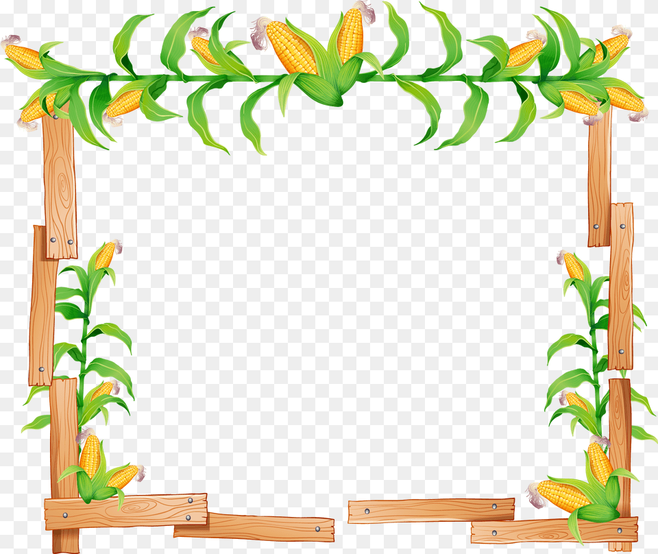 Candy Corn Maize Illustration Corn Stalk Corn Border, Plant, Flower Png Image