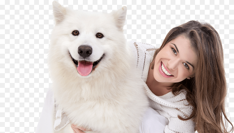 Cane Che Non Perde Pelo E Non Puzza, Animal, Canine, Dog, White Dog Free Png Download