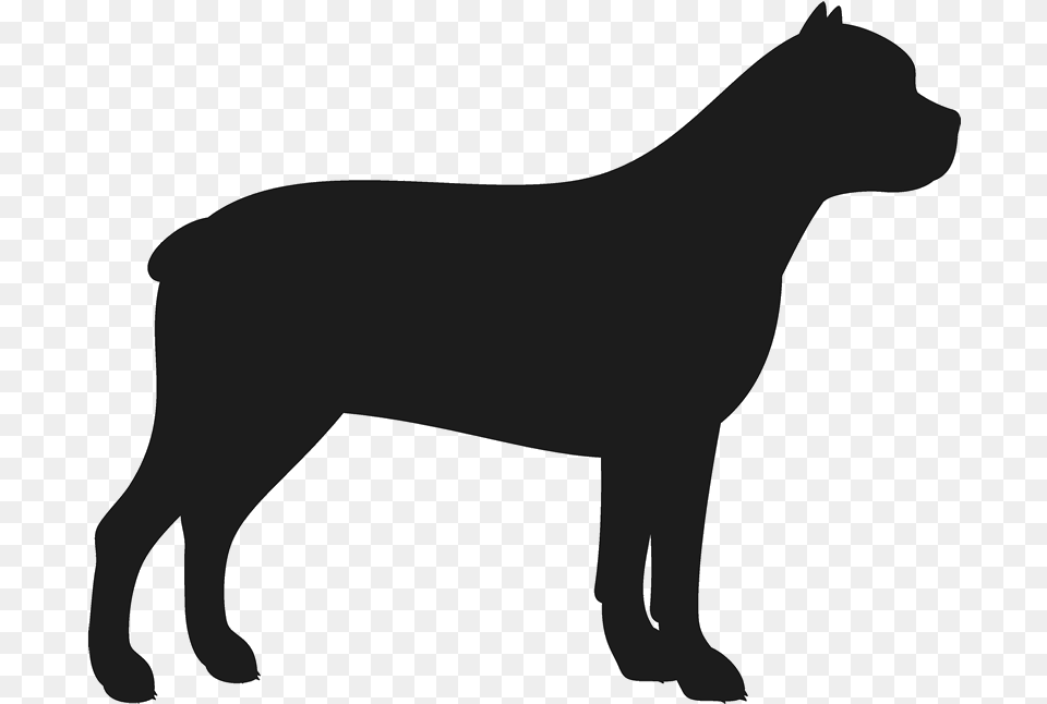 Cane Corso Stamp Dog Cat Amp Fur Baby Stamps Rottweiler Silhouette, Animal, Canine, Mammal, Pet Png Image