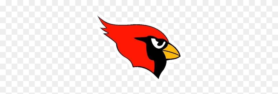 Canfield High School, Animal, Beak, Bird, Fish Free Transparent Png