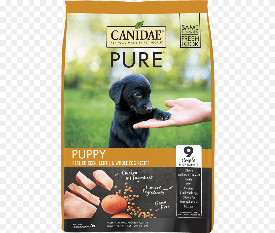 Canidae Pure, Advertisement, Poster, Animal, Canine Free Png Download