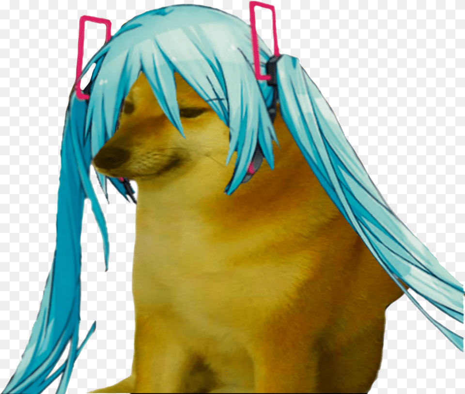 Canidae Wig Dorime Dog Miku, Adult, Person, Female, Woman Png