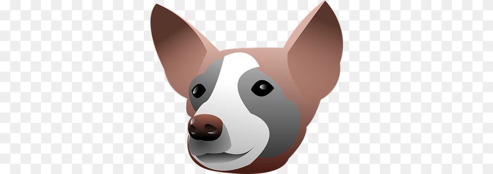 Canine Snout, Animal, Dog, Husky Png