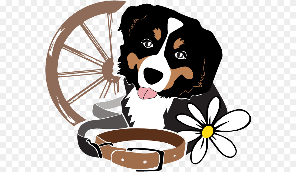 Canine Country Club Canine Country Club, Person, Flower, Plant, Daisy Png