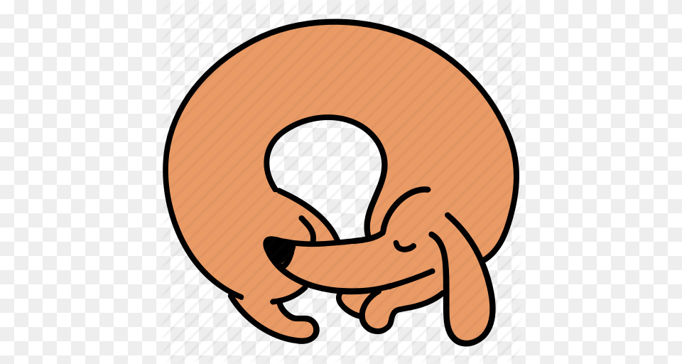 Canine Curl Dachshund Dog Pet Sleep Icon, Food Free Transparent Png