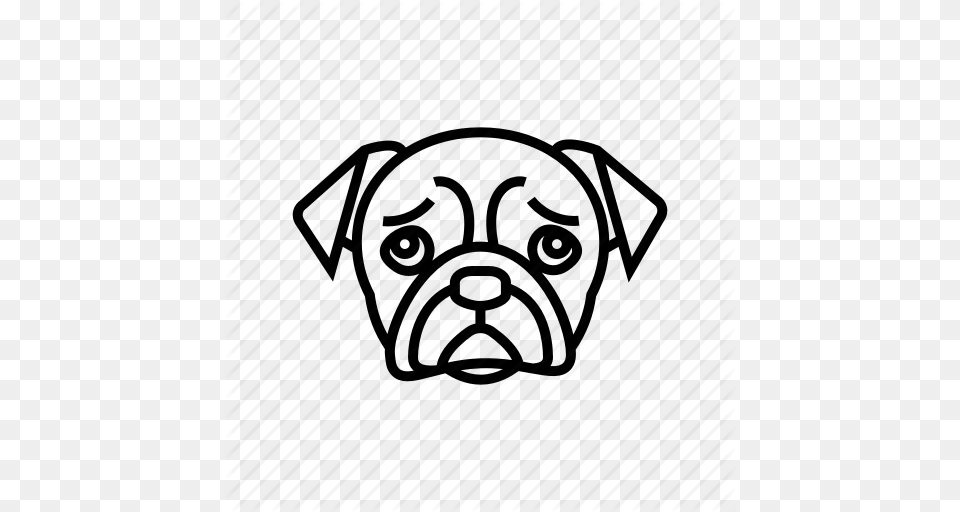 Canine Dog Dog Head Pet Pet Shop Icon, Animal, Mammal Free Png