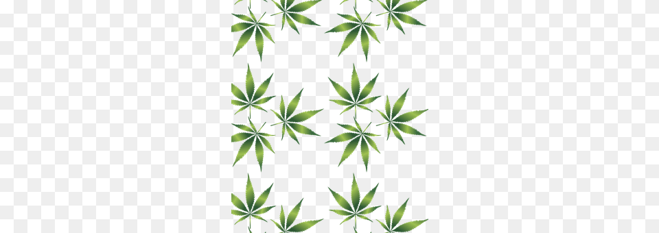 Cannabis Art, Floral Design, Graphics, Leaf Free Png